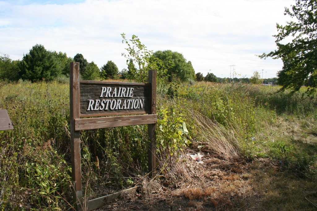 Photo of a prairie restoration site
