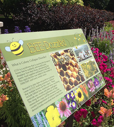 Photo of a flower garden with signage explaining colony collapse disorder and why to create bee friendly gardens