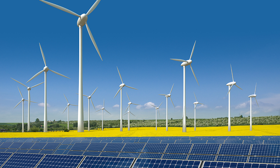 Wind turbines and solar panels in a field of yellow rapseed